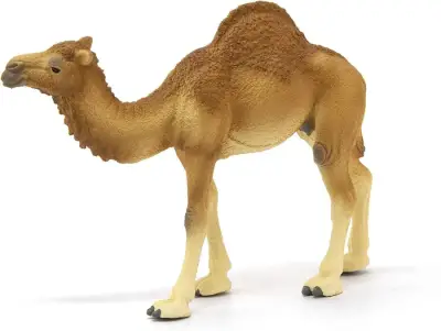 Schleich Hörgüçlü Deve 14832 - 2