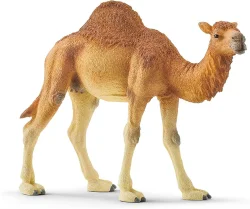 Schleich Hörgüçlü Deve 14832 - 1