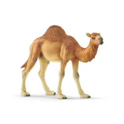 Schleich Hörgüçlü Deve 14832 - 3