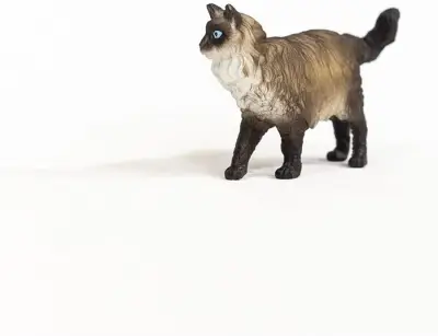 Schleich Ragdoll Kedi 13940 - 3