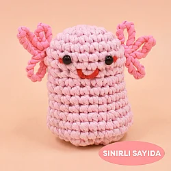 Selfiko Aşkolot Örgü Öğrenme Seti - 3