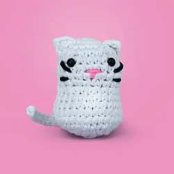 Selfiko Kedoli Örgü Öğrenme Seti - 3