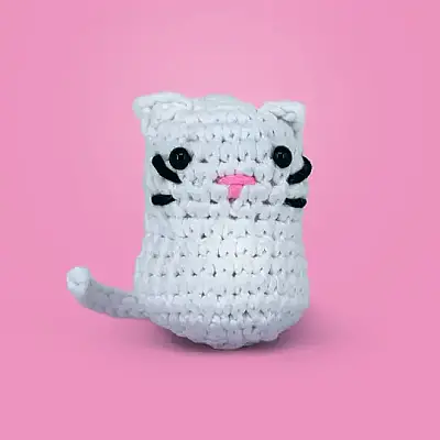 Selfiko Kedoli Örgü Öğrenme Seti - 3