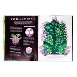 Thames And Hudson Glow - The Wild Wonders Of Bioluminescence - 2