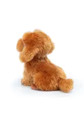 Toy Poodle Oliver Pelus Tud22333 - 2