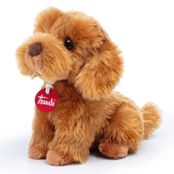 Toy Poodle Oliver Sitting Pelus Tud22332 - 1