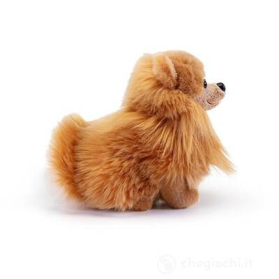 Trudi Pomeranian 22347 - 2