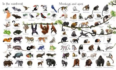 Usborne - 1000 Animals - 2