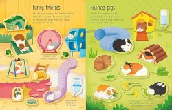Usborne - First Sticker Book Pets - 3