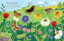 Usborne - First Sticker Book Seasons - 3