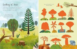 Usborne - First Sticker Book Trees - 2