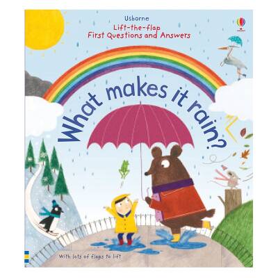 Usborne - Lift The Flap First Q&A What Makes It Rain - 1