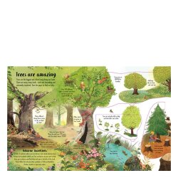 Usborne - Lift The Flap Trees - 3