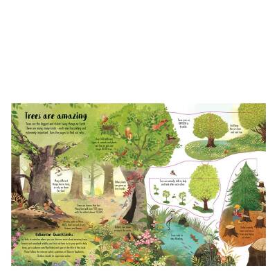 Usborne - Lift The Flap Trees - 3