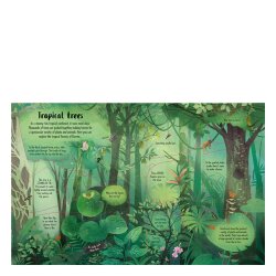 Usborne - Lift The Flap Trees - 2