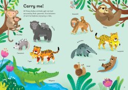 Usborne - Little First Stickers Baby Animals - 3