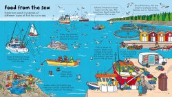 Usborne - Look Inside Food - 2