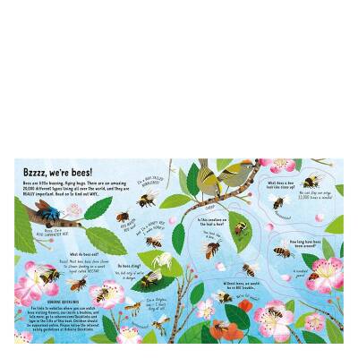 Usborne - Look Inside The World Of Bees - 3