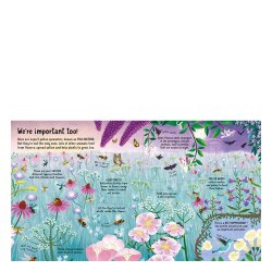 Usborne - Look Inside The World Of Bees - 2