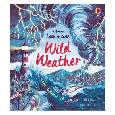 Usborne - Look Inside Wild Weather - 1