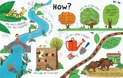 Usborne Ltf Q&A About Nature - 3