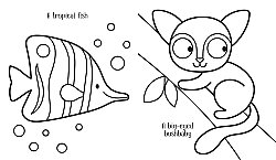 Usborne - My Big Animal Colouring Book - 3