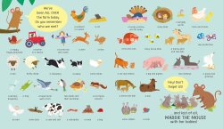 Usborne - My First Lift The Flap Look & Find Farm - 3