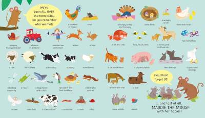 Usborne - My First Lift The Flap Look & Find Farm - 3