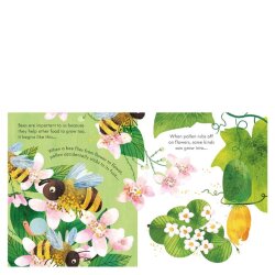 Usborne - Peep Inside A Beehive - 3