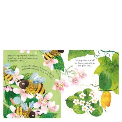 Usborne - Peep Inside A Beehive - 3