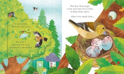 Usborne - Peep Inside Springtime - 3