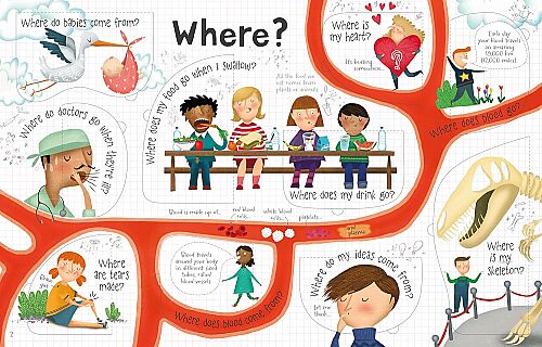 Usborne Questions & Answers About Body - 2