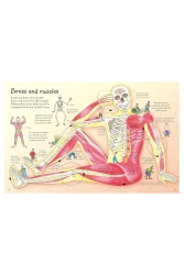 Usborne See Inside Your Body Hb - 3