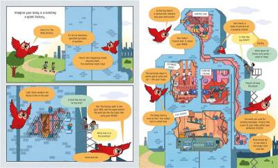 Usborne Book Of The Body And How it Works - 2