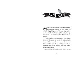 Usborne Cogheart - 3