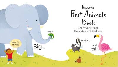 Usborne - First Animals Book - 2