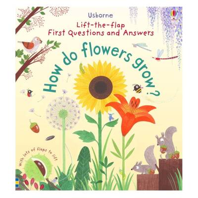Usborne Lift-The-Flap First Questıons And Answers How Do F - 1