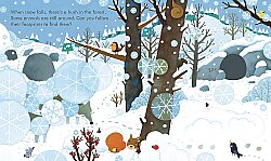 Usborne Peep Inside The Rorest - 4