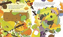 Usborne Peep Inside The Rorest - 3
