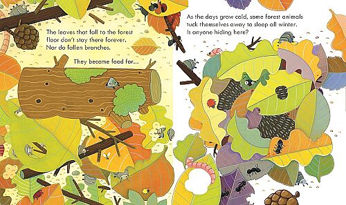 Usborne Peep Inside The Rorest - 3