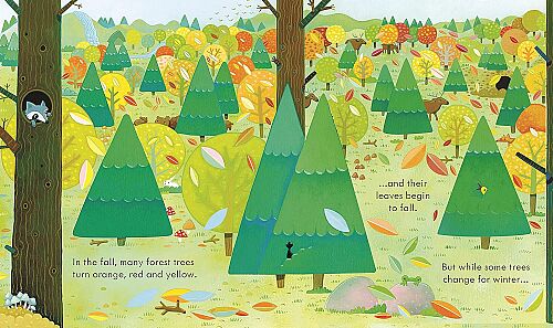 Usborne Peep Inside The Rorest - 2