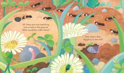 Usborne Peep Inside Under The Ground - 2
