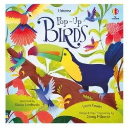 Usborne Pop-Up Birds - Usborne