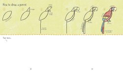 Usborne Step-by-Step Drawing Animals - 2