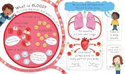 Usborne Very First Questions and Answers What's Inside Me? - 2