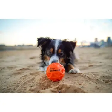 Waboba Tailwind Dog Toy Bouncing Ball 380C06 - 2