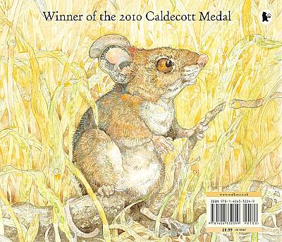 Walker Books The Lion And The Mouse - 2