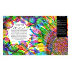 Wide Eyed Editions Illumibugs - 2