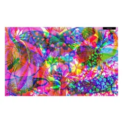 Wide Eyed Editions Illumibugs - 4