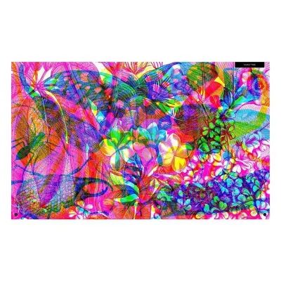 Wide Eyed Editions Illumibugs - 4